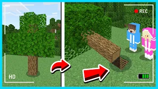 MIPAN & ZUZUZU Ternyata Punya Ruangan Super Rahasia Bawah Pohon Di Minecraft! TIDAK KETAUAN