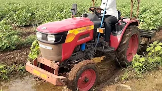 Mahindra jivo 225 DI power parformance in kapas ki kheti || #newmodel2023 #minitractor #smartfarmer