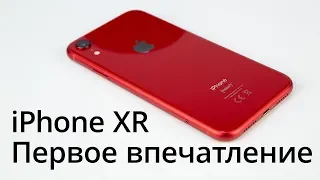 iPhone XR - первый взгляд