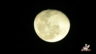 observando la luna con súper zoom de mi cámara canon