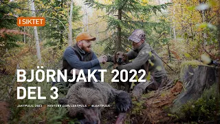 Björnjakt 2022 del 3