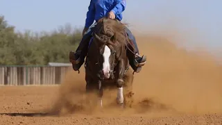 Ten Thirty - NRHA Futurity Champion