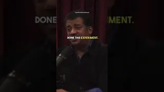 Neil deGrasse Tyson on Near Death Experiences 🌄 #joerogan #joeroganpodcast #neildegrassetyson #univ