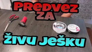 Predvez za živu ješku