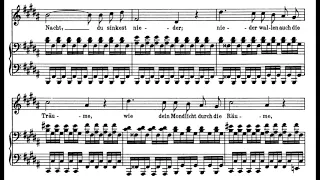 Nacht und Träume (F. Schubert) Score Animation