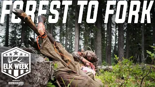 How to Butcher an Elk (From Field to Table) | Elk Week 2023