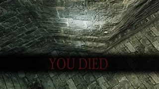 Dark Souls 2 - Glitched to death