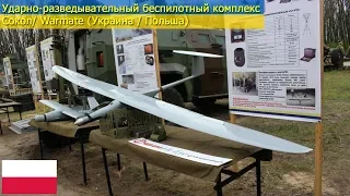 Ударно-разведывательный беспилотный комплекс "Сокол". БПЛА-камикадзе Warmate (Украина / Польша)