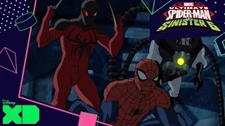 Ultimate Spider-Man Vs. The Sinister Six | The Spider Slayers | Official Disney XD UK