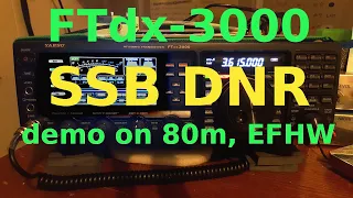 FTdx-3000 SSB DNR - 80m EFHW - Mixed Signal Levels