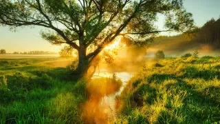 Relaxing music that heals stress, anxiety and depressive conditions, heals, sleep music