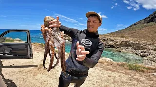 Caught a Massive Octopus ( Tako ) Action Packed Weekend / Spearfishing Hawaii