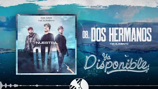 Dos Hermanos - T3R Elemento - DEL Records 2020