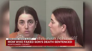 Mom who faked son's death sentenced