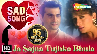 Ja Sajna Tujhko Bhula | Raja Songs | Madhuri Dixit | Sanjay Kapoor | Udit Narayan | Alka Yagnik