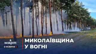 Пожежі в Миколаєві: горів торгівельний павільйон, приватні житлові будинки і Балабанівський ліс