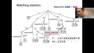 Matching statistics on the suffix tree