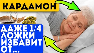 Даже опытные знахари не знают такое о кардамоне! Добавлять ли кардамон в напитки?