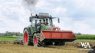 Fendt Farmer 412 Vario + Frost cultivator, podorywka ścierniska / Stubble cultivation