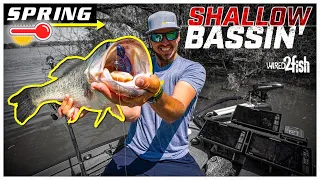 How to Catch Bass in the Spring | Top 5 Tactics