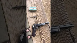 Mannlicher M1905 pistol (part 2)