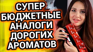 Супер БЮДЖЕТНЫЕ АНАЛОГИ дорогих ароматов