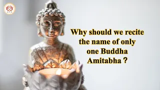 Why should we recite the name of only one Buddha – Amitabha？｜03 Practical Advice for Pure Land P