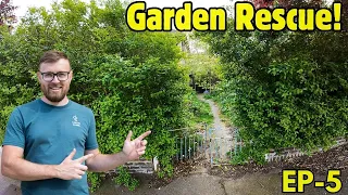 OVERWHELMED! Peggy's Paradise Garden Was CONSUMED.. Help Us Rescue It (Ep5)