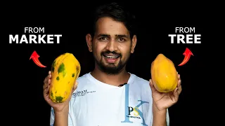 Market Vs Tree Fruit - Reality | एक बाजार से खरीदा दूसरा पेड़ से तोड़ा