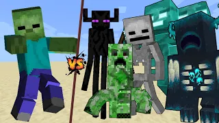 Titan Zombie vs All Titans in Minecraft mob battle