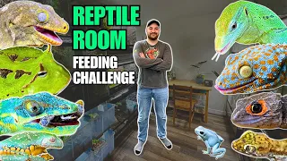 REPTILE ROOM FEEDING CHALLENGE! Lizards, Snakes, Frogs and Arachnids!