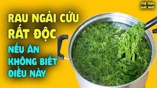 Rau Ngải Cứu Cực Độc Nếu Ăn Mà Không Biết Điều Này, Ăn Vào Có Ngày Toi Mạng