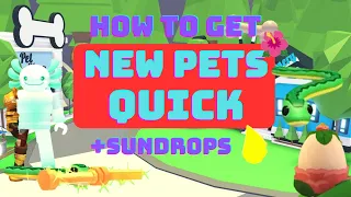 How to get NEW Garden Egg Pets QUICKLY in Adopt Me!