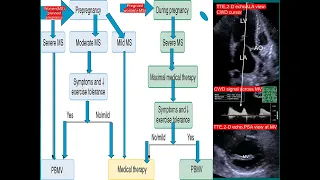 1 Test your skill Echo  MS & pregnancy