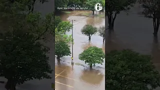 'What are you doing?!': Motorist drives into floodwater in Texas as onlookers scream