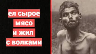 Вы не Поверите, но его воспитали Волки. Реальная История настоящего Маугли