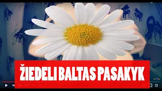 Žiedeli baltas pasakyk  (remix) Robertas Marcinkevičius