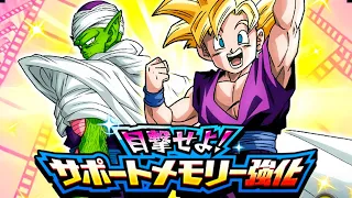 ALL MISSIONS DONE! STAGE 1 CURIOUS DESTINY! BEHOLD! SUPPORT MEMORY BOOST! (DBZ: Dokkan Battle)