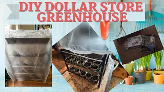HOW TO BUILD A $10 DIY GREENHOUSE | DIY DOLLAR STORE GREENHOUSE | CHEAP & EASY DIY GREENHOUSE BUILD