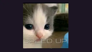 gmfu-speed up