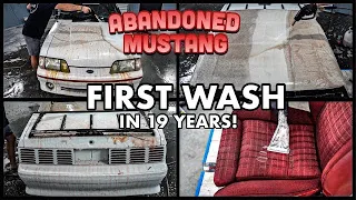 Abandoned BARN FIND Ford Mustang | First Wash In 19 Years |  Car Detailing Restoration How To!