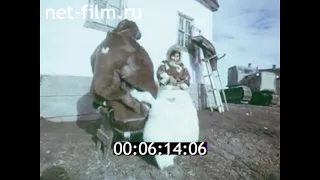 1976г. остров Врангеля. посёлок Ушаковское.