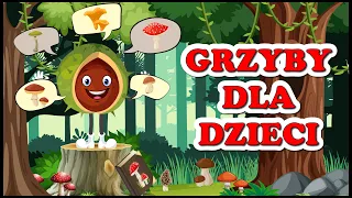 Grzyby dla dzieci 🍄 film edukacyjny o jesieni 🍂