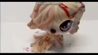 lps MV : monster ( meg and dia )