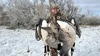 Canada Goose Hunting In Snow!!