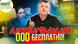 Как закрыть ООО бесплатно в 2024? Разбираем новый упрощенный порядок ликвидации компании.