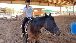 This what I did today I had my horse 🐎 lesson at horse 🐴 help  interved people from  Charles Schwab