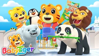 Animal Songs  | Zoo Songs | Learn Animals | Nursery Rhymes | Kids Songs - BabyTiger’s Family