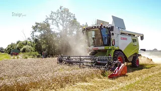 [CLAAS TUCANO 320/NEW HOLLAND T4/TL/FARMTECH]Harvest2021/Žetev/Żniwa/Ernte /Récolter[Kmetija GOMBOC