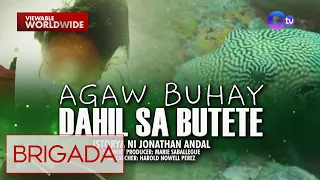 Mangingisda sa Bohol, agaw-buhay matapos kumain ng butete or puffer fish! | Brigada